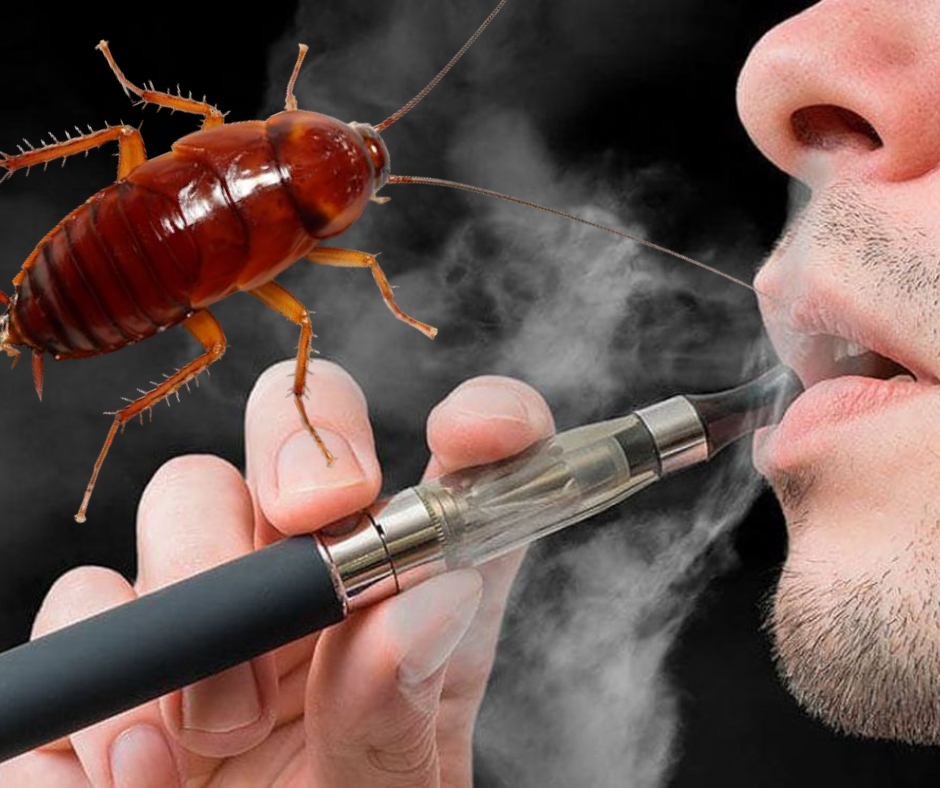 cucaracha vapeador Infórmate y más