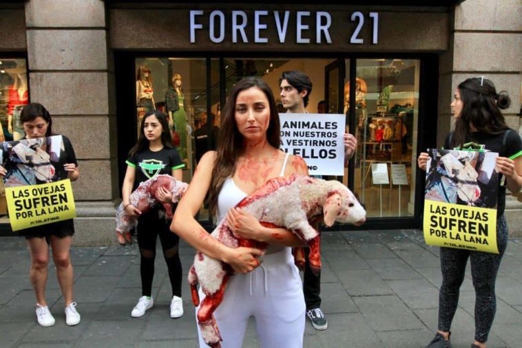 Forever 21 recurre a la crueldad animal para crear su ropa - Infórmate y más