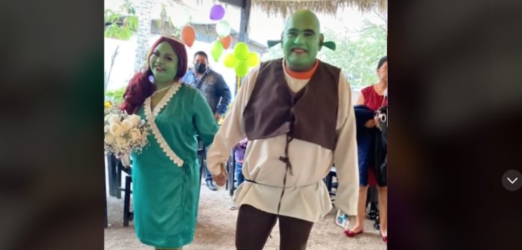 Boda Shrek