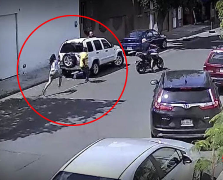 [video] Mujer Da Paliza A Ladrón En Guadalajara Infórmate Y Más