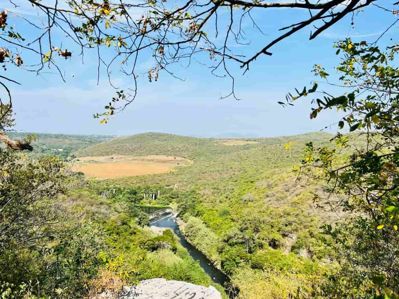 xiste-gran-diversidad-de-flora-y-fauna-en-el-cerro-de-la-tortuga-en