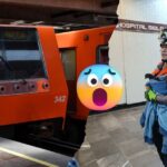 Rescatan a gallina en Metro