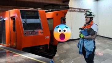 Rescatan a gallina en Metro