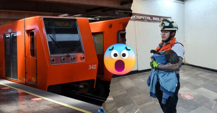 Rescatan a gallina en Metro