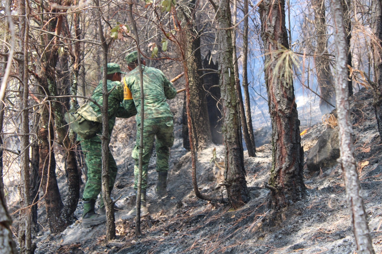 Atención de incendios forestales