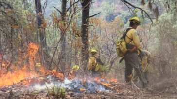 incendio Tepoztlán