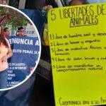 5 libertades de los animales