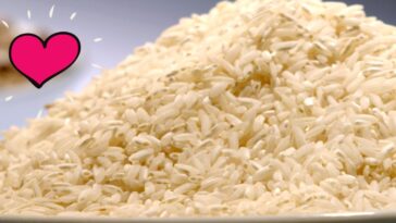 documental de arroz morelense