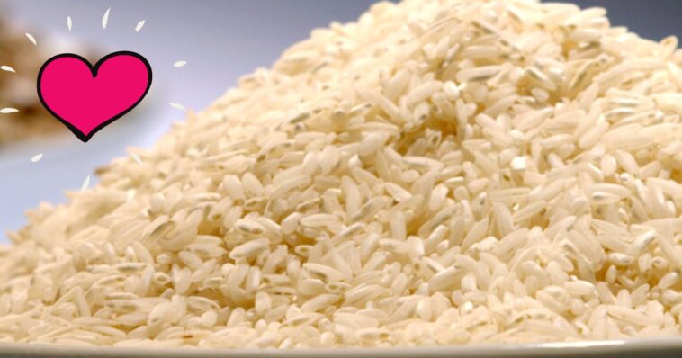 documental de arroz morelense