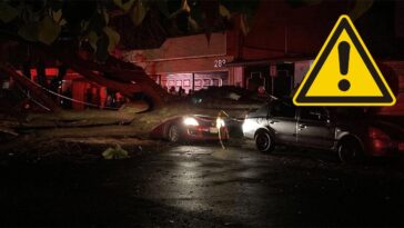 Joven es aplastada por un árbol debido a lluvia