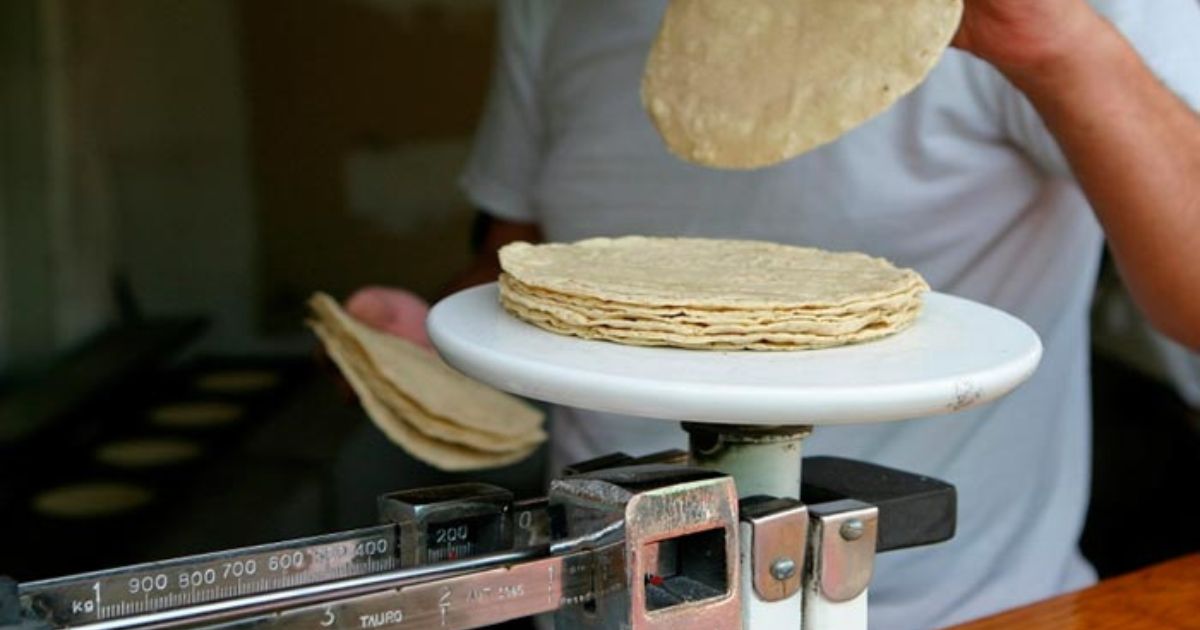 Tortilla