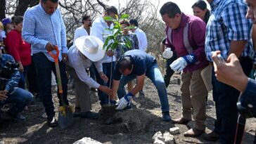 reforestación Cuauhtémoc