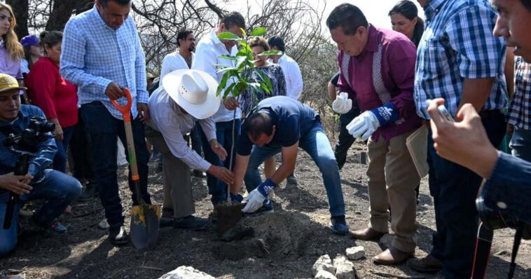 reforestación Cuauhtémoc