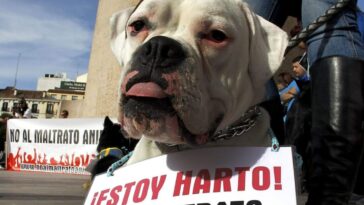 Marcha maltrato animal CDMX