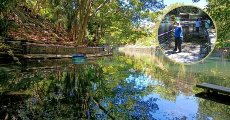 Concluyen los trabajos de limpieza del Lago Parque Chapultepec