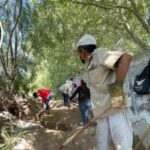 Trabajos de búsqueda