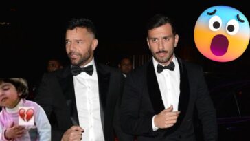 ricky martin divorcio