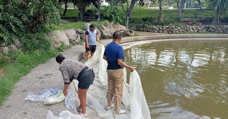 Inician trabajos de limpieza de los cuerpos de agua en el Parque Alameda Solidaridad