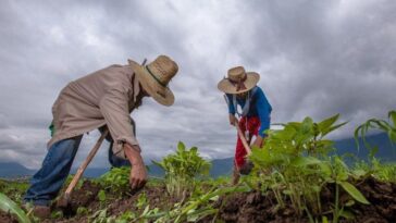 Campesinos amagan con paro nacional