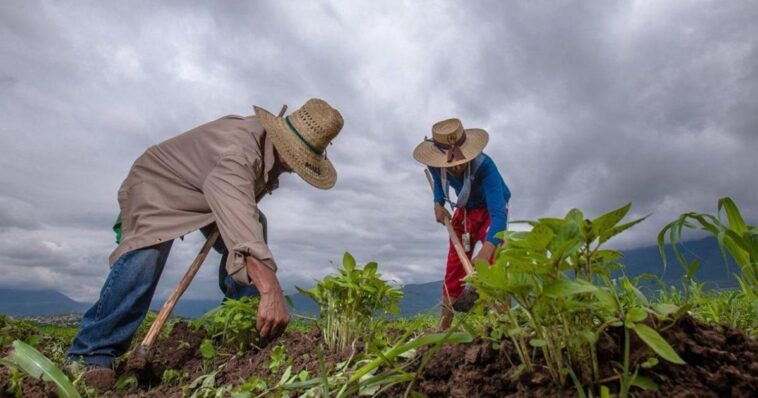 Campesinos amagan con paro nacional