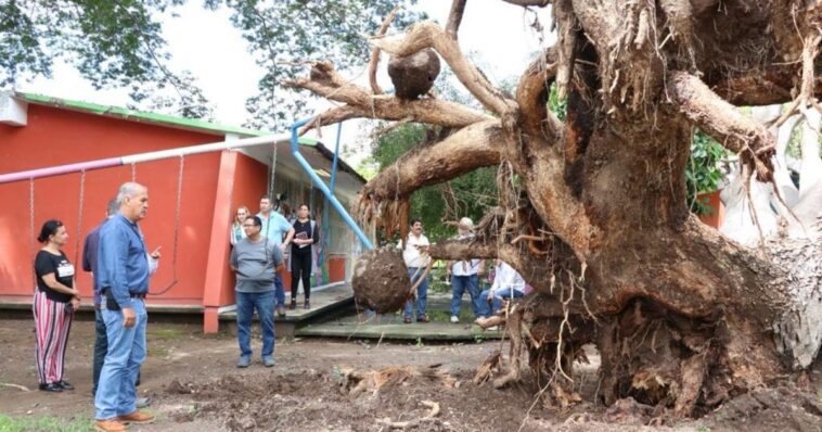 Escuelas afectadas en Jalisco