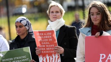 Anuncia Cynthia Nixon huelga de hambre