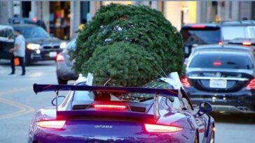 multa por transportar árbol de Navidad