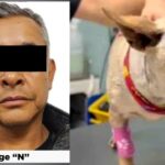 Detienen al agresor del perrito “Taquito”