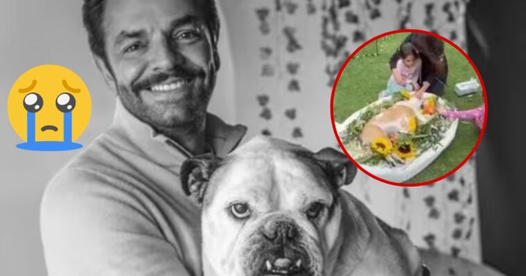 (VIDEO) Eugenio Derbez muestra el momento EXACTO en que murió su perrita Fiona