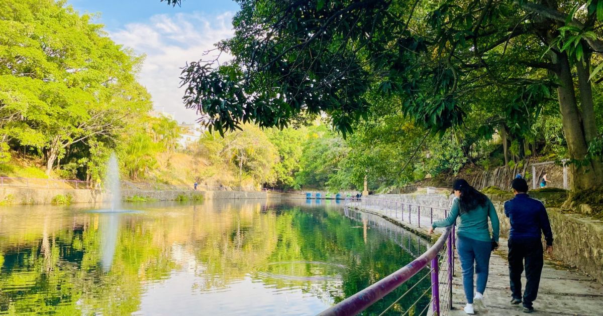 Parque Barranca Chapultepec - Infórmate Y Más