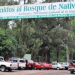 Ofrecen recompensa por información sobre el asesino de perros en Xochimilco