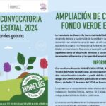 Conoce la convocatoria Fondo Verde Estatal 2024