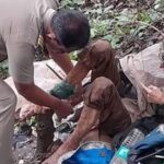 mujer amarrada a un árbol