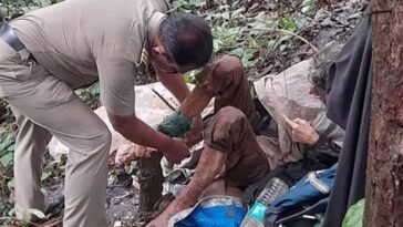 mujer amarrada a un árbol