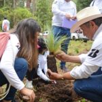 Reforestación Cuernavaca