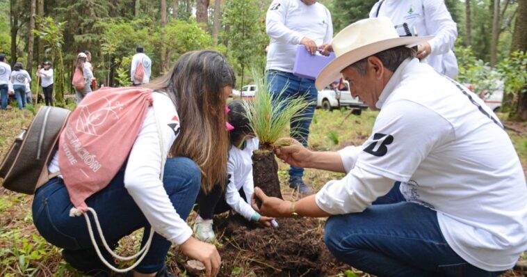 Reforestación Cuernavaca