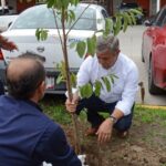 Plantan 18 especies de arbóreas nativas en Teopanzolco