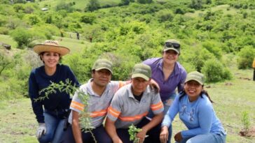 reforestación en Amacuzac