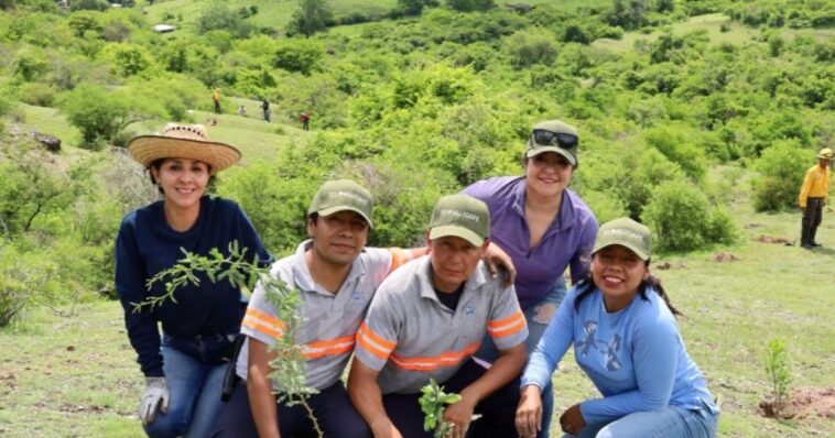 reforestación en Amacuzac