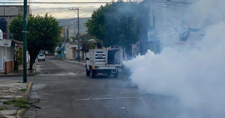 Reanudan jornadas de termonebulización contra el Dengue