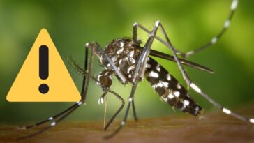 casos de dengue en méxico 2024