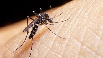 Se registra aumento de defunciones por dengue en Morelos