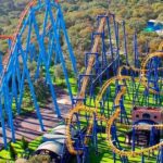 Six Flags quiere construir juego mecánico, pero talará 150 árboles