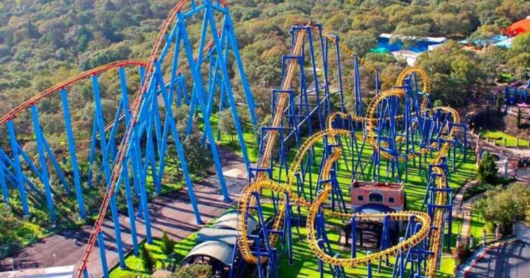 Six Flags quiere construir juego mecánico, pero talará 150 árboles