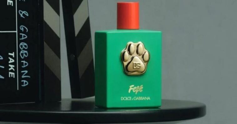 Dolce&Gabbana lanza perfume para perritos