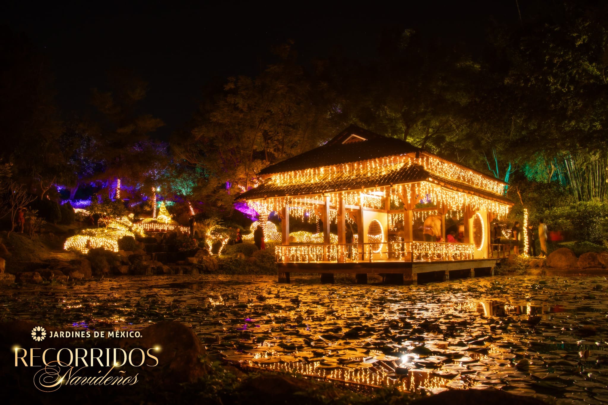 Recorridos navideños Jardines de México