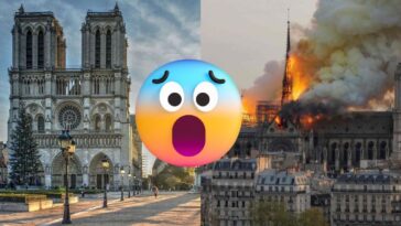 notre dame