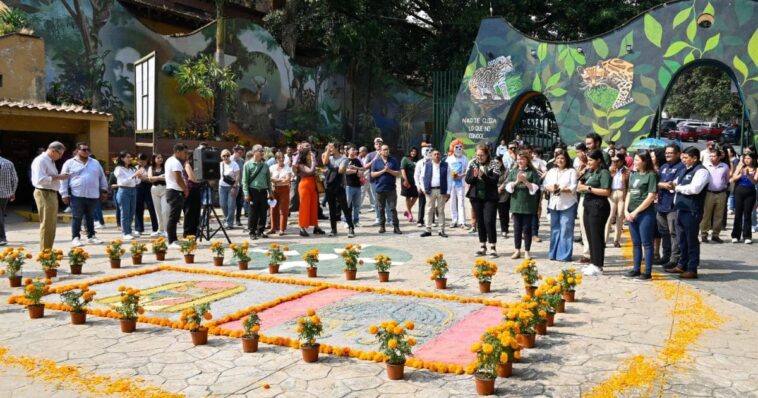 parque chapultepec