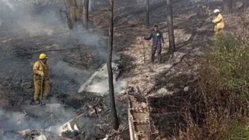 Siete fallecidos tras desplome de avioneta en Jalisco