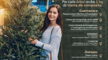 Recicla árbol de Navidad